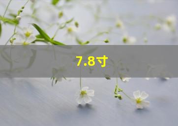 7.8寸