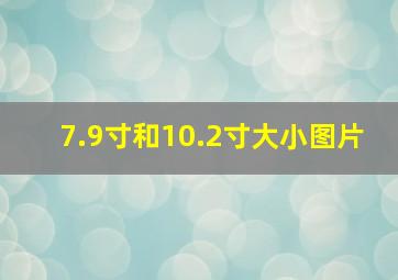 7.9寸和10.2寸大小图片