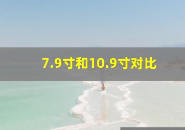 7.9寸和10.9寸对比