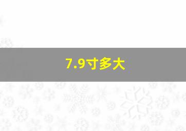 7.9寸多大