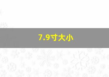 7.9寸大小