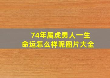 74年属虎男人一生命运怎么样呢图片大全