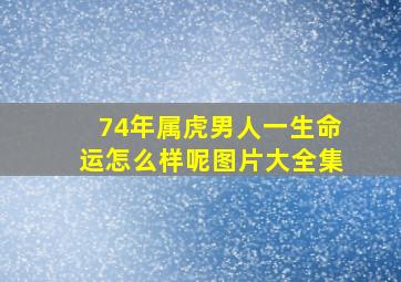 74年属虎男人一生命运怎么样呢图片大全集