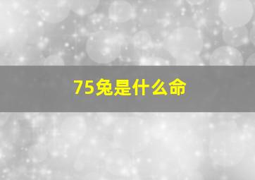 75兔是什么命