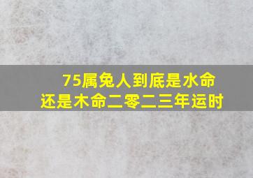 75属兔人到底是水命还是木命二零二三年运时