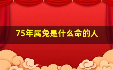 75年属兔是什么命的人