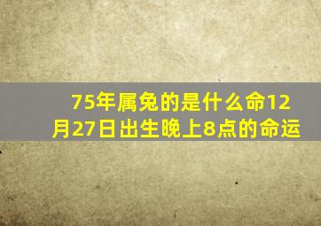 75年属兔的是什么命12月27日出生晚上8点的命运