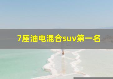 7座油电混合suv第一名