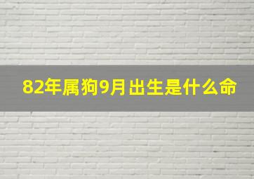 82年属狗9月出生是什么命