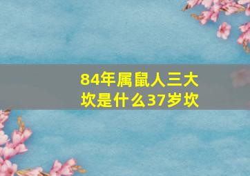 84年属鼠人三大坎是什么37岁坎