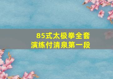 85式太极拳全套演练付清泉第一段