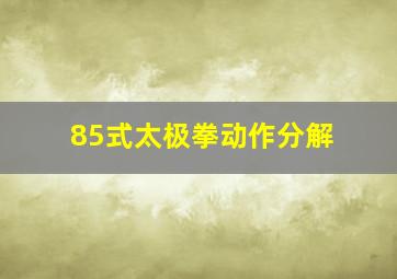 85式太极拳动作分解