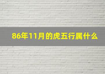 86年11月的虎五行属什么