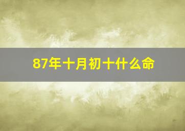 87年十月初十什么命