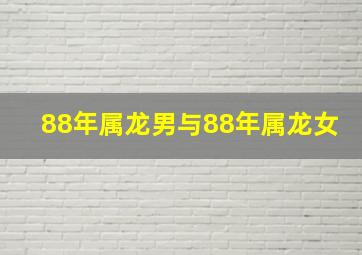 88年属龙男与88年属龙女