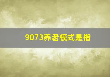 9073养老模式是指