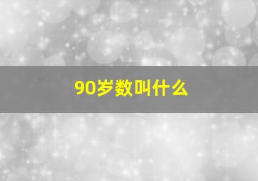 90岁数叫什么