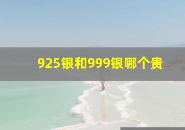 925银和999银哪个贵