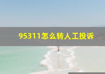 95311怎么转人工投诉