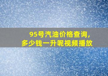 95号汽油价格查询,多少钱一升呢视频播放