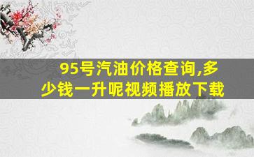 95号汽油价格查询,多少钱一升呢视频播放下载