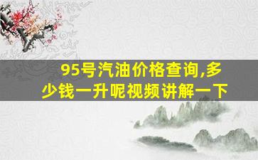 95号汽油价格查询,多少钱一升呢视频讲解一下