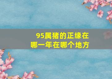 95属猪的正缘在哪一年在哪个地方