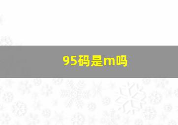 95码是m吗