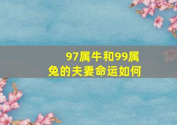 97属牛和99属兔的夫妻命运如何