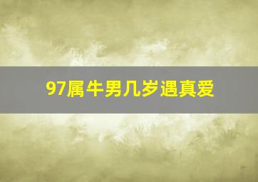 97属牛男几岁遇真爱