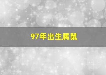 97年出生属鼠