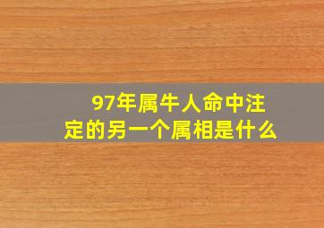 97年属牛人命中注定的另一个属相是什么