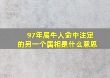 97年属牛人命中注定的另一个属相是什么意思