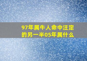 97年属牛人命中注定的另一半05年属什么