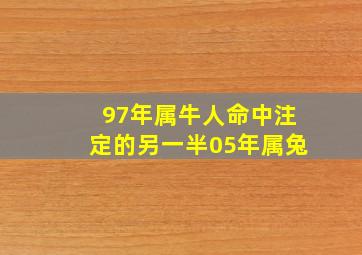 97年属牛人命中注定的另一半05年属兔