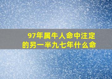 97年属牛人命中注定的另一半九七年什么命