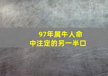 97年属牛人命中注定的另一半口