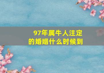 97年属牛人注定的婚姻什么时候到