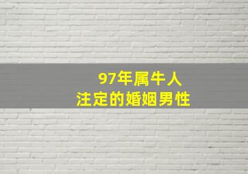 97年属牛人注定的婚姻男性