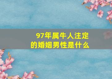 97年属牛人注定的婚姻男性是什么