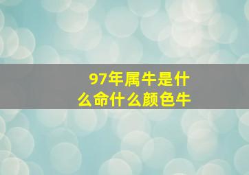 97年属牛是什么命什么颜色牛