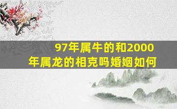 97年属牛的和2000年属龙的相克吗婚姻如何