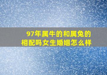 97年属牛的和属兔的相配吗女生婚姻怎么样