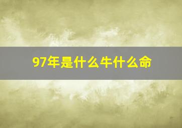 97年是什么牛什么命