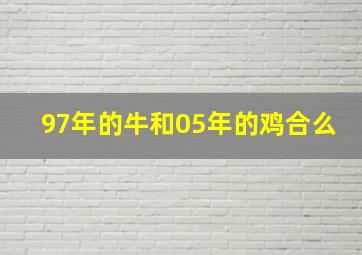 97年的牛和05年的鸡合么