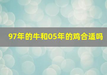 97年的牛和05年的鸡合适吗