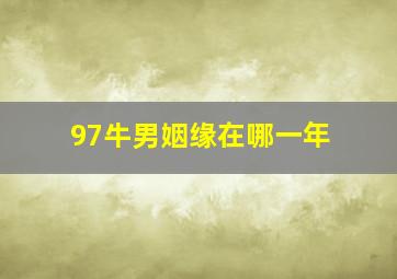 97牛男姻缘在哪一年