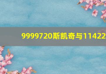 9999720斯凯奇与11422