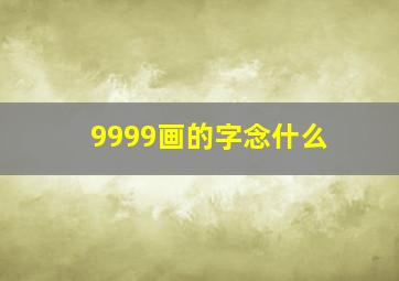 9999画的字念什么