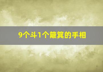 9个斗1个簸箕的手相